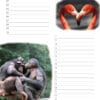 Calendrier d’anniversaire ‘Animals in Love’ Décembre