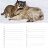 Calendrier d’anniversaire ‘Animals in Love’ Janvier