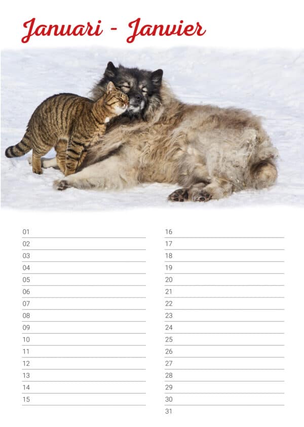 Calendrier d'anniversaire 'Animals in Love' Janvier