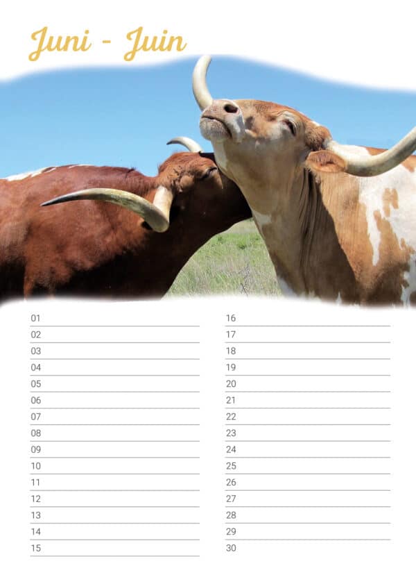 Calendrier d'anniversaire 'Animals in Love' Juin