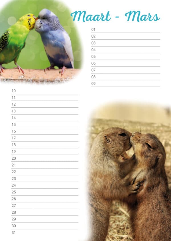 Calendrier d'anniversaire 'Animals in Love' Mars