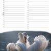 Calendrier d’anniversaire ‘Animals in Love’ Mai