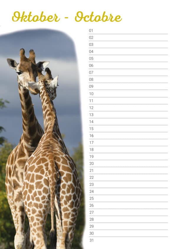 Calendrier d'anniversaire 'Animals in Love' Octobre