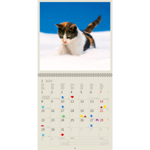 Calendrier mural Cats 2024 - Janvier