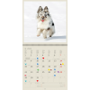 Calendrier mural Dogs 2024 – Janvier