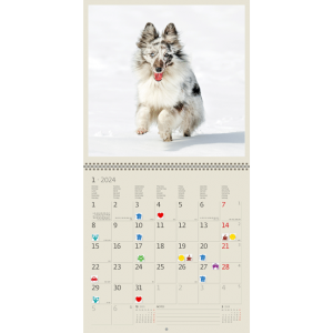 Calendrier mural Dogs 2024 - Janvier