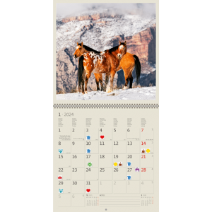 Calendrier mural Horses 2024 - Janvier