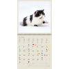 Calendrier mural Cats 2026 – janvier
