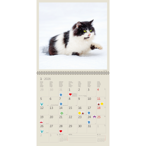 Calendrier mural Cats 2026 - janvier