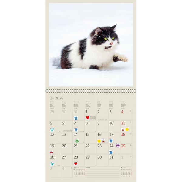 Calendrier mural Cats 2026 - janvier