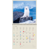 Calendrier mural Dogs 2026 – janvier