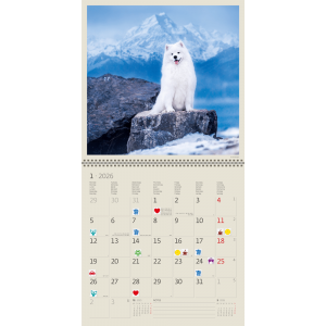Calendrier mural Dogs 2026 - janvier