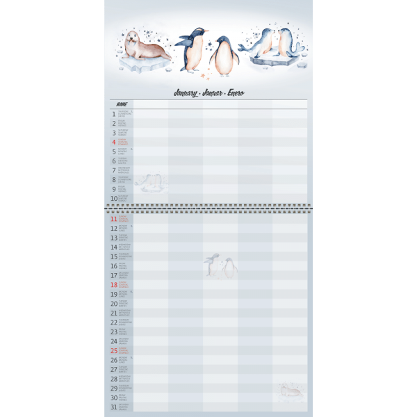 Calendrier mural family Planner 2026 - janvier
