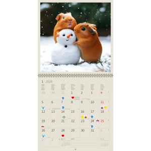 Calendrier mural Little Fun 2026 - janvier
