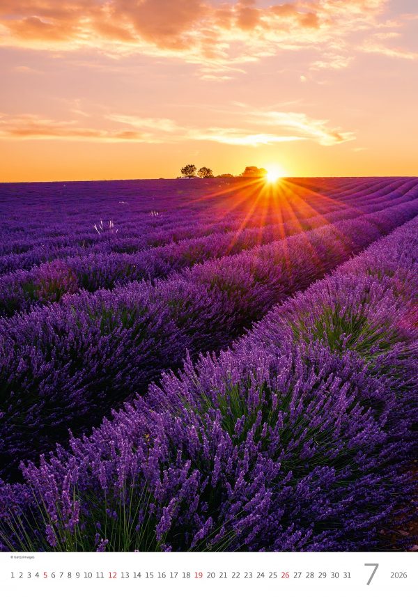 Calendrier mural Provence 2026 - juillet