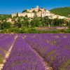 Calendrier mural Provence 2026 – août