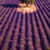 Calendrier mural Provence 2026 – septembre