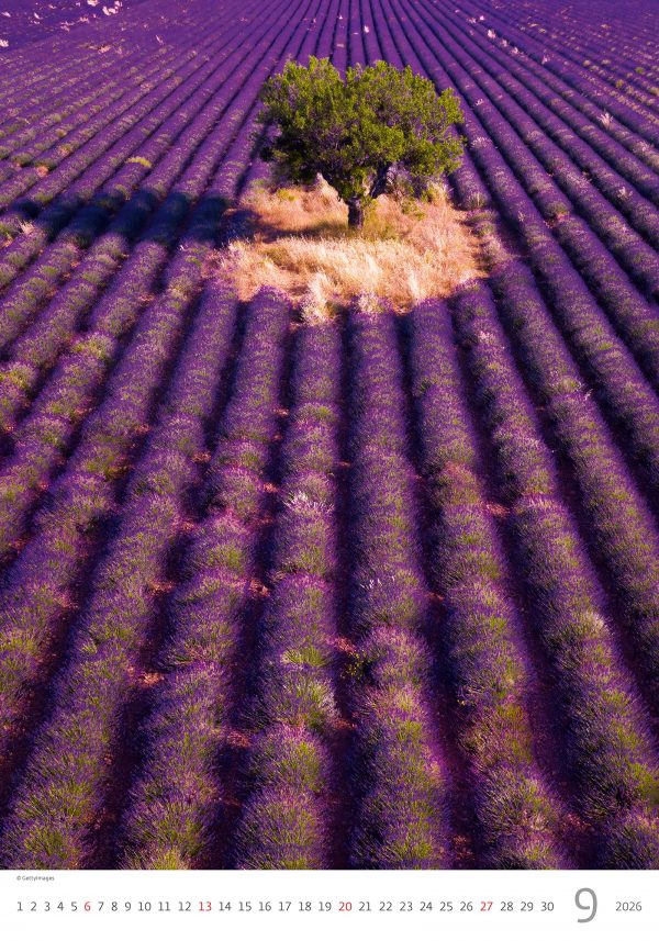 Calendrier mural Provence 2026 - septembre