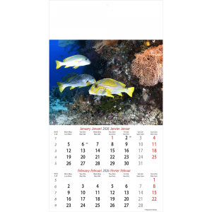 Calendrier mural Ocean Wonders 2026