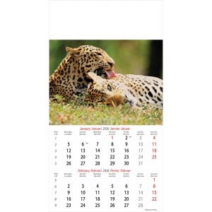 Calendrier mural Wildlife 2026