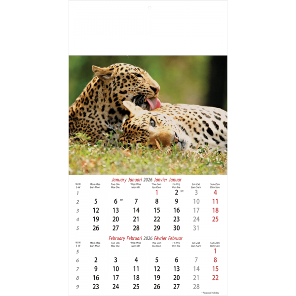 Calendrier mural Wildlife 2026