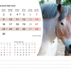 Calendrier de bureau Animals 2026 – juin