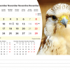 Calendrier de bureau Animals 2026 – novembre