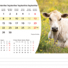Calendrier de bureau Animals 2026 – septembre