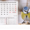 Calendrier de bureau Beautiful Nature 2026 – décembre