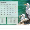 Calendrier de bureau Beautiful Nature 2026 – juillet