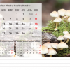 Calendrier de bureau Beautiful Nature 2026 – octobre