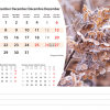 Calendrier de bureau Flowers 2026 – décembre
