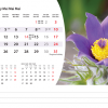 Calendrier de bureau Flowers 2026 – mai