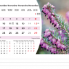 Calendrier de bureau Flowers 2026 – novembre