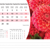Calendrier de bureau Flowers 2026 – septembre