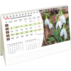 Calendrier de bureau Flowers 2026 – janvier